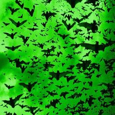 a large flock of bats flying through the air