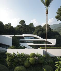 an architecturally designed house surrounded by trees and bushes