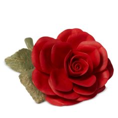 a red rose with green leaves on a white background