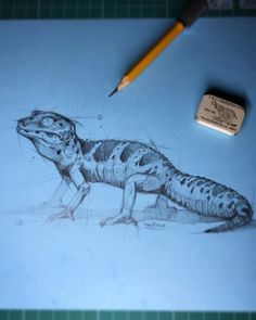 a pencil drawing of a lizard on paper next to a marker and inking pen