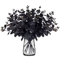 a vase filled with black flowers on top of a table