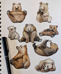 some bears are sitting and standing on their back legs, with one bear in the middle