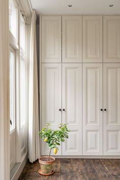 a potted plant sitting on top of a wooden floor in front of white cupboards