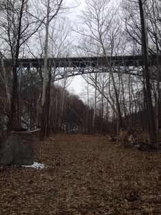 a bridge over a forest filled with lots of trees and leaves on top of it