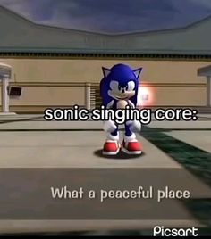 sonic the hedge is standing in front of a building with words that say, what a peaceful place