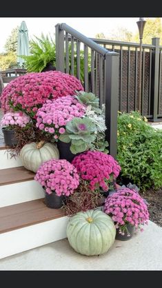 some pink flowers and green plants are on the steps next to each other with white pumpkins