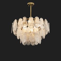 a chandelier with glass petals hanging from it's brass frame and light fixture