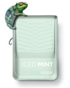 a chamelon sitting on top of an iced mint vallspar tray