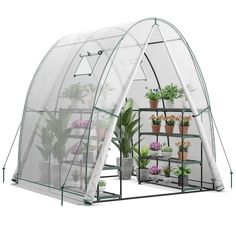 a greenhouse with several plants growing inside