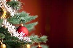 the christmas tree is decorated with red and gold baubles on it's branches