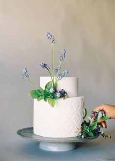 someone is decorating a white cake with blue flowers on the top and green leaves on the bottom