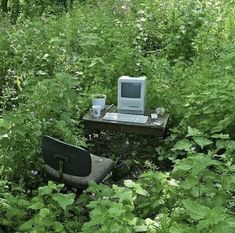 an old computer sitting in the middle of a forest