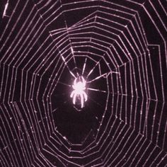 a spider is in the middle of its web with light coming from it's center