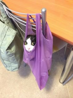 a black and white cat peeks out from behind a purple bag under a table