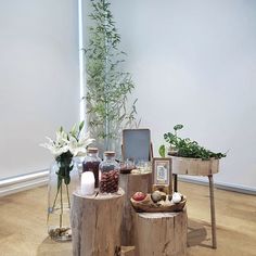 three wooden stumps with plants in them on the floor next to a white wall