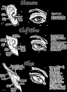 an image of different types of eyes and how they are used to make them look like human