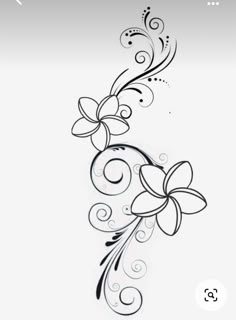 a black and white drawing of flowers with swirls on the bottom half of it