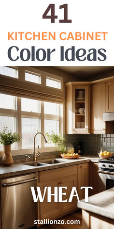 Trendy kitchen cabinet colors displayed in various kitchen settings Paint Colors For Kitchen Walls With Maple Cabinets, Caramel Kitchen Cabinets, Rust Colored Kitchen Cabinets, Kitchen Cabinet Stain Colors 2024, Best Kind Of Paint For Kitchen Cabinets, Kitchen Cabinet Color, Teo Toned Cabinets, Brown Painted Cabinets, Honey Maple Kitchen Cabinets And Coonter Tops Color Choice