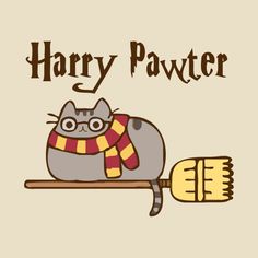 a gray cat wearing a scarf sitting on top of a broom with the words harry pawter written above it