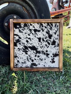 an old photo frame with black and white spots on it sitting in the grass next to a tire