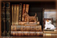 a cat sitting on top of books next to a dog figurine