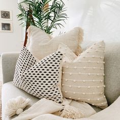 a couch with some pillows on it and a potted plant in the corner next to it