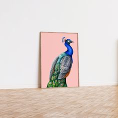 a peacock is standing in front of a pink wall with a blue and green bird on it's back