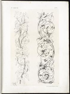 two drawings of flowers and vines on paper