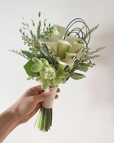 a hand holding a bouquet of flowers on a white background with greenery in the foreground