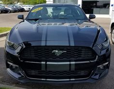 the front end of a black mustang parked in a parking lot