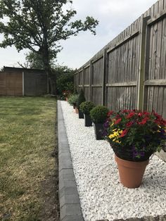 several potted plants line the side of a fence