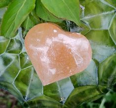 a heart shaped piece of glass sitting on top of some green leafy plants and leaves