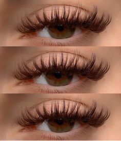 Dark Brown Lash Extensions, Lashes Ideas, Brown Lashes, Wispy Eyelashes, Esthetician, Lash Extensions, Eyelash Extensions, Dark Brown, Eyelashes