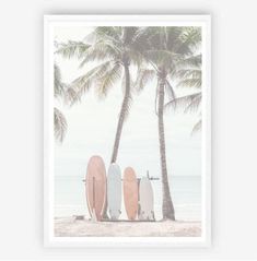 three surfboards are lined up against the palm trees at the beach in front of the ocean