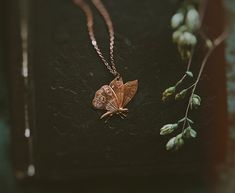 A beautiful, detailed vintage copper moth charm is suspended on a dainty antiqued copper chain.  Moth measures approximately 1.25" tall. Chain is 17". Length of chain can be adjusted upon request. Moth Necklace, Copper Chain, Vintage Copper, Style Expert, Antique Copper, Cute Jewelry, Moth, Charm Necklace, Nature Inspiration