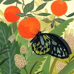 a painting of a butterfly sitting on top of an orange tree with leaves and flowers