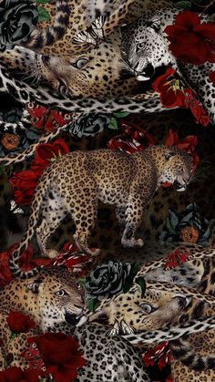 an image of leopards and roses on a black background with red flowers in the foreground