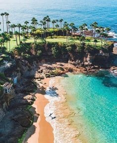 an aerial view of a beach with palm trees