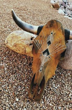 an animal skull is laying on the ground