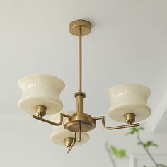 a chandelier hanging from the ceiling with three lights on each side and a potted plant in the background