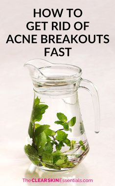 I was plagued with acne and breakouts for well over a decade until I figured out what to do with my skincare and diet to get rid of acne breakouts fast and easy. Click through to find out what I do whenever pimples or breakouts start creeping up. These 5 things help stop pimples in their tracks and prevents scars and marks from being left behind. | www.TheClearSkinEssentials.com Severe Acne Remedies, Cystic Acne Remedies, Being Left Behind, Get Rid Of Acne, Rid Of Acne, Natural Acne Remedies, Natural Acne, Diy Kosmetik, Home Remedies For Acne