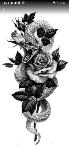 a snake and rose tattoo design on a white background