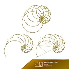 three golden spirals are shown on a white background with gold foil and the words golden section