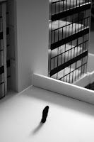 a black and white photo of a bird in the middle of a room with bookshelves