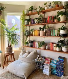 a living room filled with lots of plants and books on shelves next to a window