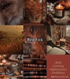 red fox collage with candles, books, and other things in the background that include an open book