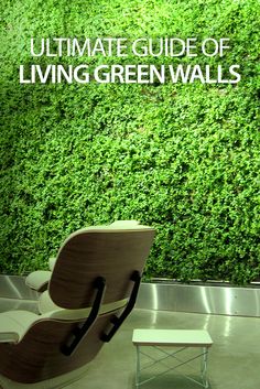 the ultimate guide to living green walls