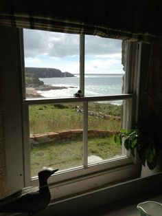 there is a bird sitting on the window sill looking out at the water and land