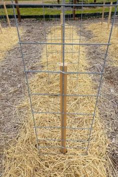 a wire fence with hay in the middle and some grass on the ground next to it