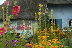 a blue house with flowers in the foreground and an assortment of plants around it